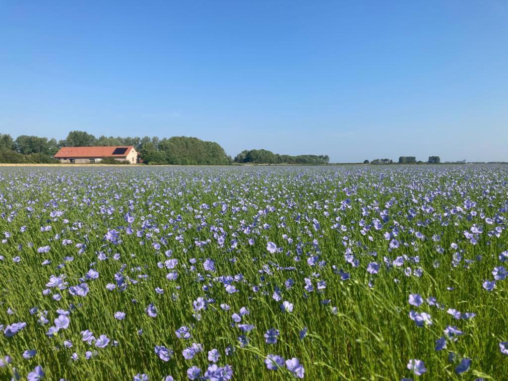 'T Wagenhuis 勒特朗舍芒 外观 照片