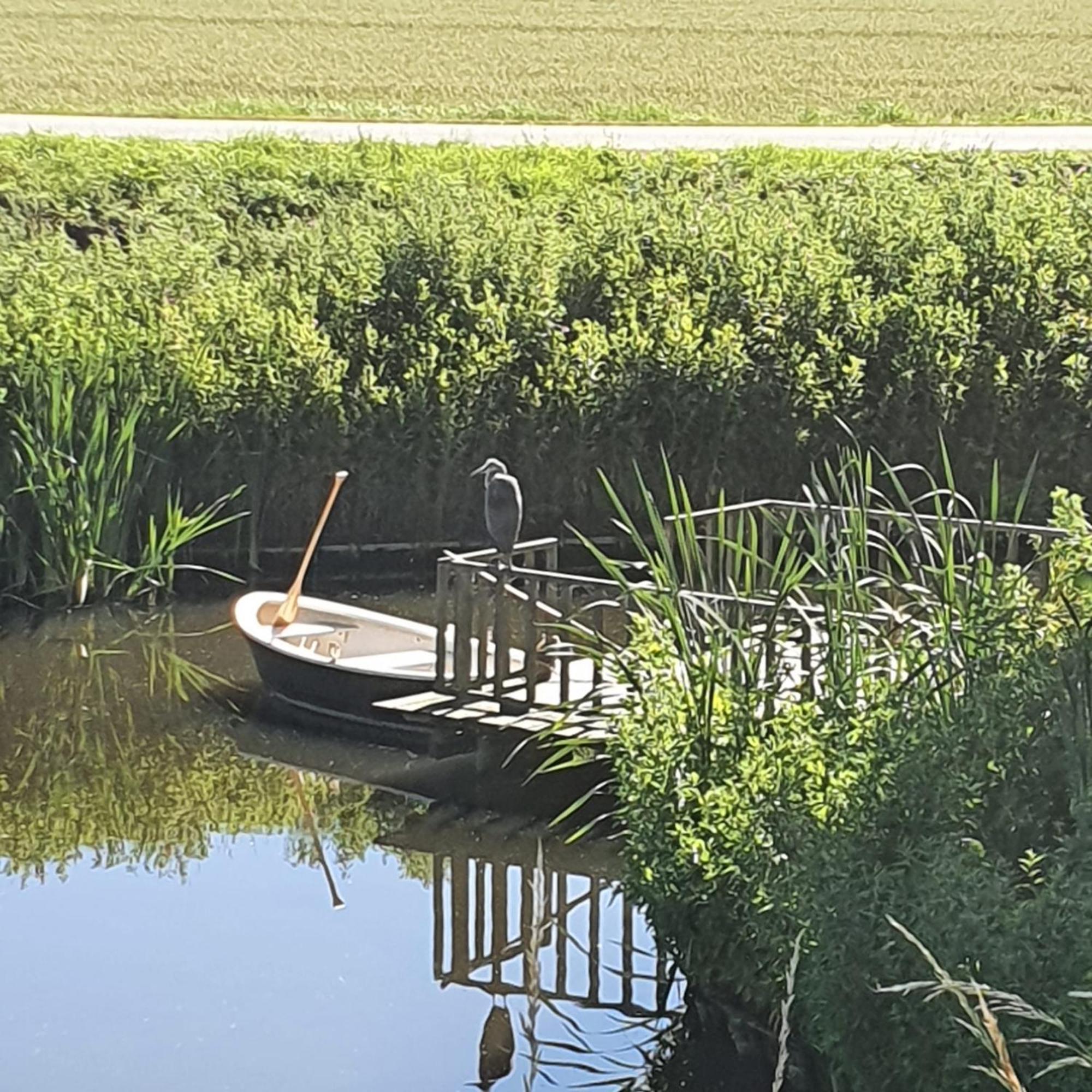 'T Wagenhuis 勒特朗舍芒 外观 照片